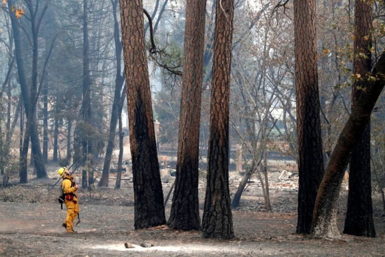 California prelates urge prayers, humanitarian aid for victims of fires